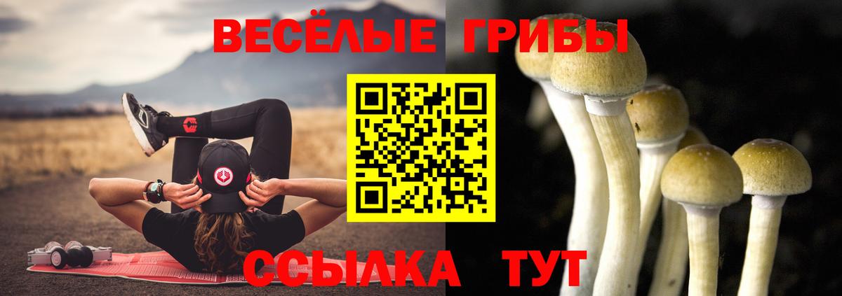 Шарыпово  Галлюциногенные грибы Magic Shrooms  Вход с VPN  Псилоцибиновые грибы Psilocybe 